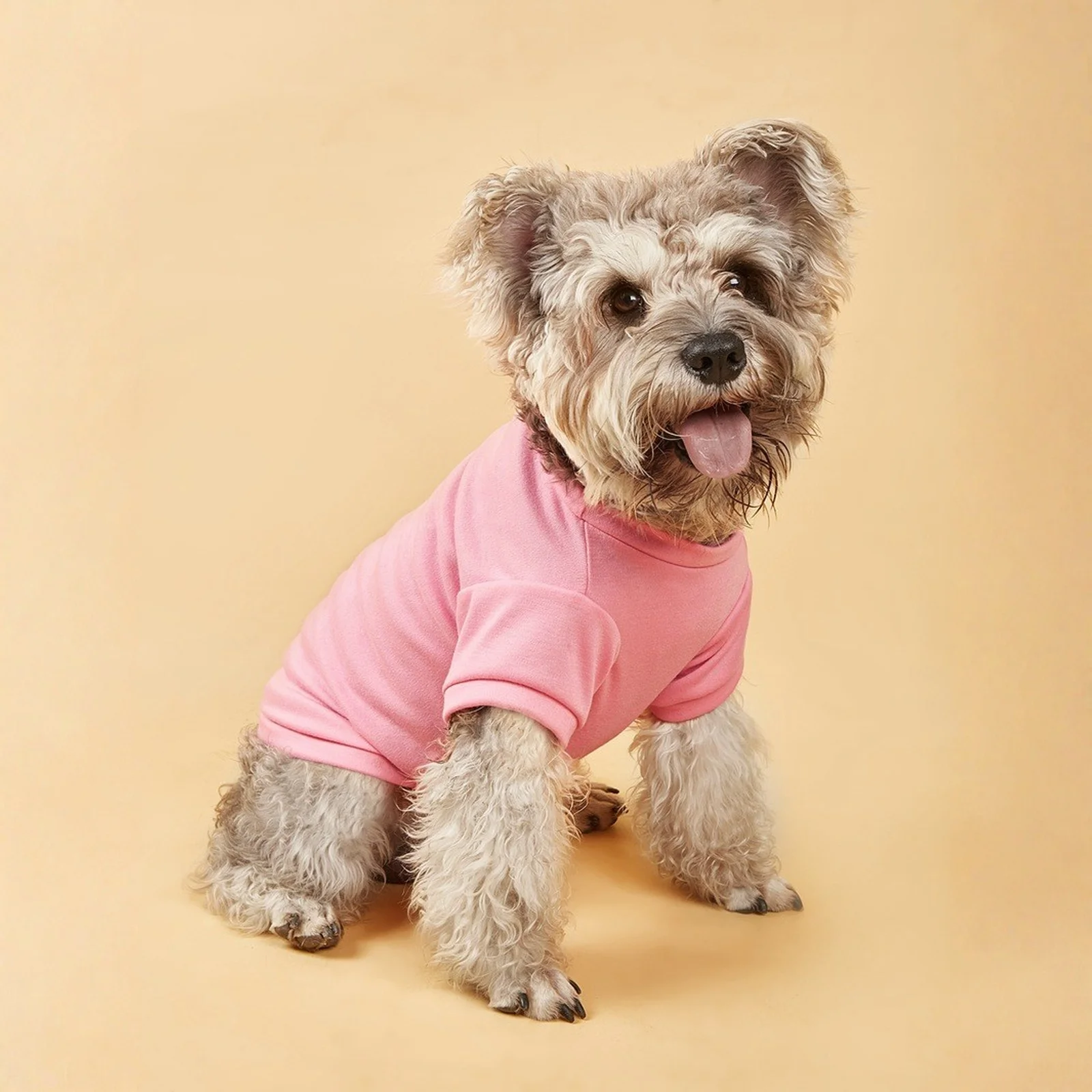 Colete para Cães de Algodão para Cães Pequenos e Médios - Imagem 3