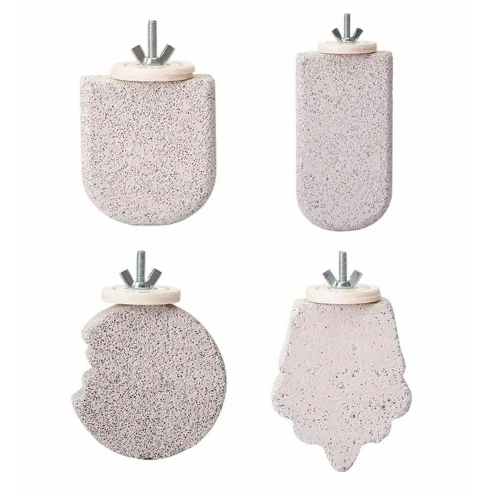 Placa de Suporte para Pássaros de Pedra-Pomes com Encaixe na Gaiola - Image 4