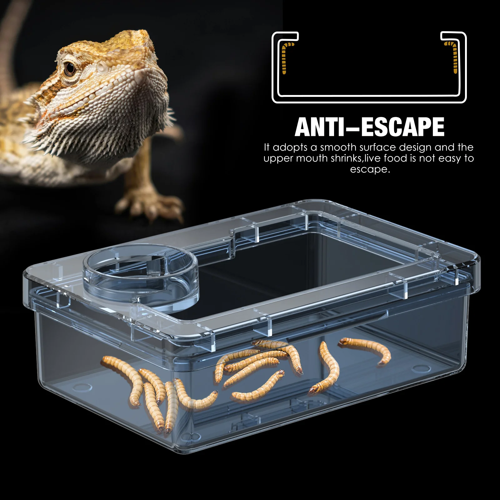 Tigela para Répteis Lagartos Geckos com Borda Anti Fuga - Image 4