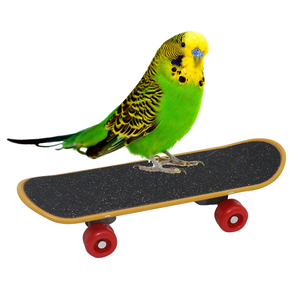 Mini Skate de Madeira para Tartarugas com Almofada Antiderrapante - Image 6