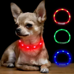 coleira led recarregável para cães