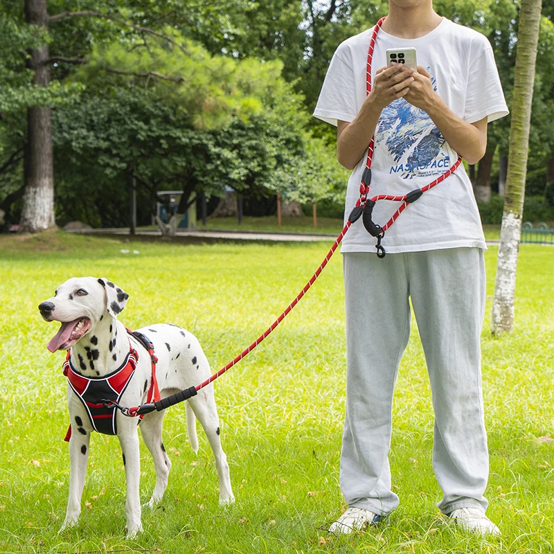 Coleira de Corda para Cães Grandes com Alça Acolchoada 2,4m - Imagem 6