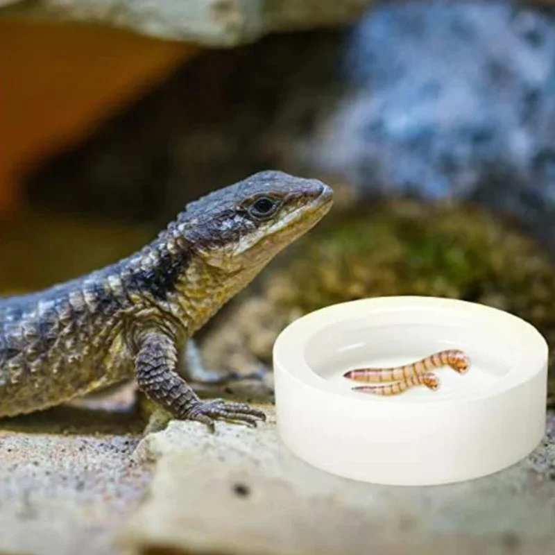 Tigela de Cerâmica para Répteis Anti-Fuga para Geckos Cobras - Imagem 3
