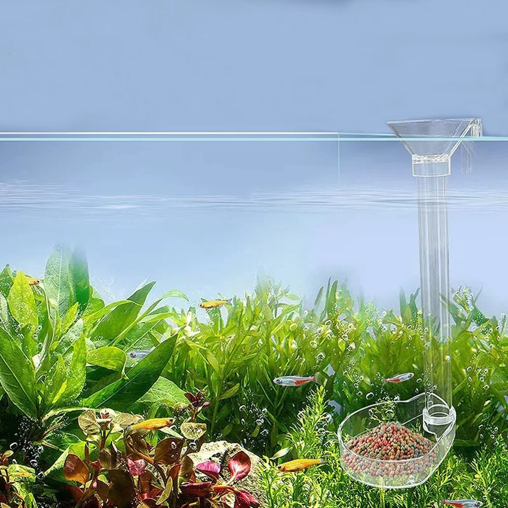 Alimentador para Aquário de Acrílico Transparente com Ganchos e Escova - Imagem 2