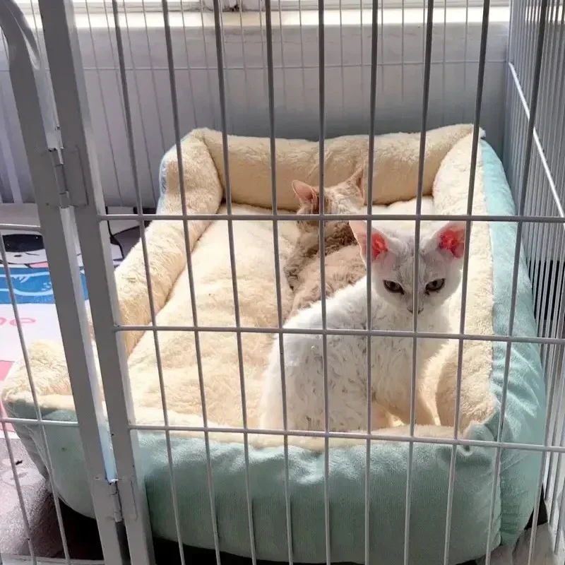 Cama para Gatos e Cães Pequenos de 40x30 cm - Image 5