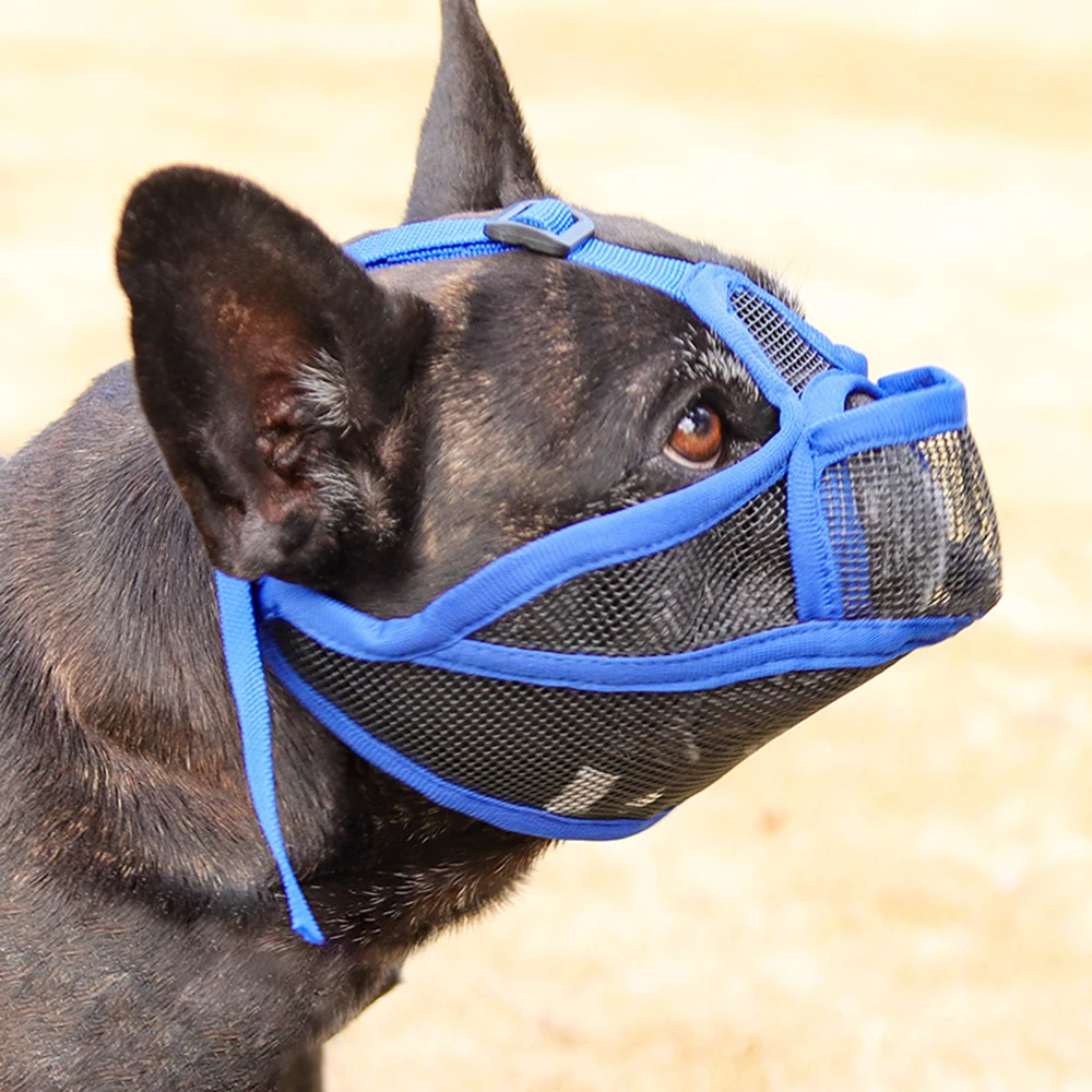 Focinheira Ajustável para Bulldog Francês de Nylon com Fecho de Fivela - Image 5