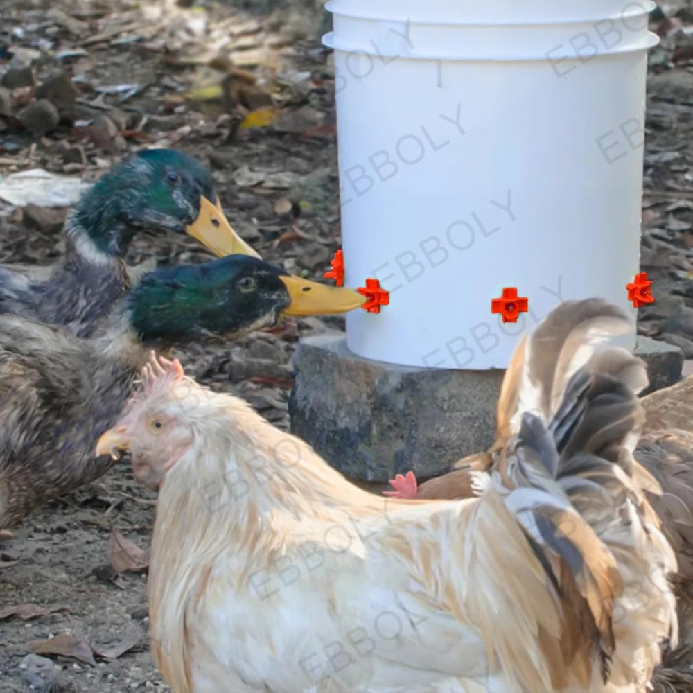 Bebedouro Automático para Aves Horizontal 15 Peças para Frango e Pato - Imagem 4