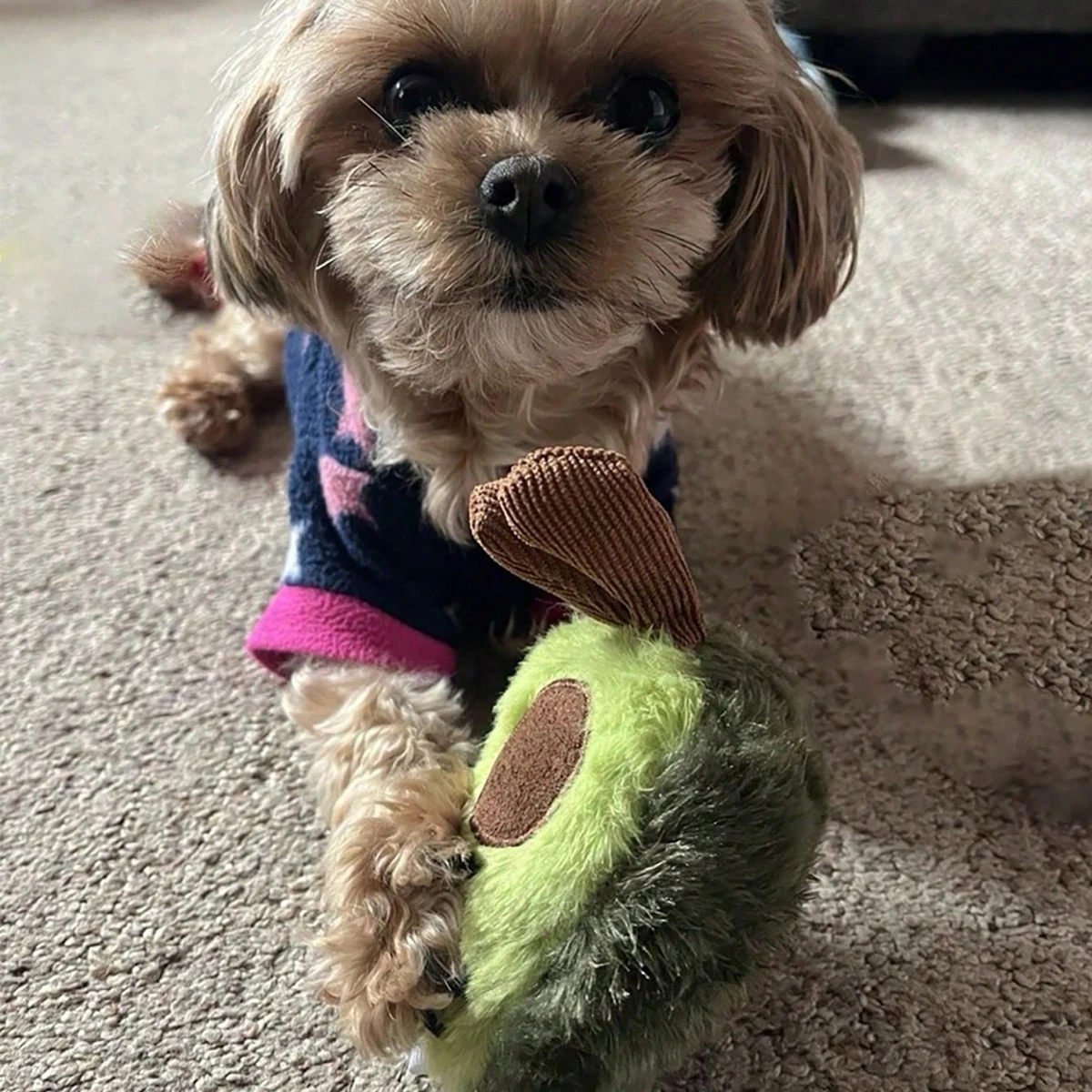 Brinquedo de Pelúcia para Cães Pequenos e Médios Lavável à Mão - Imagem 5