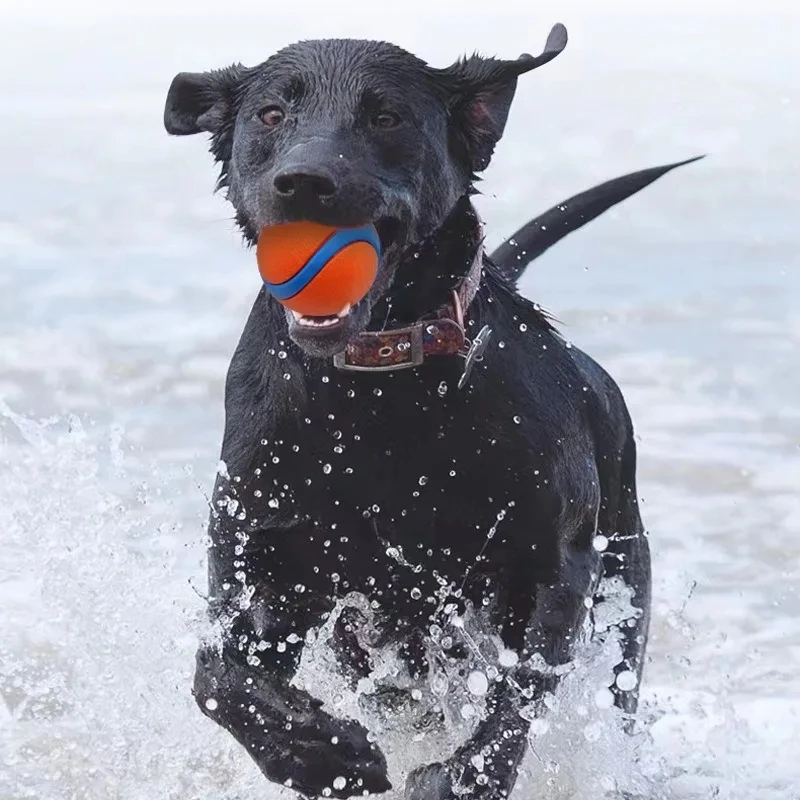Bola de Brinquedo para Cães Sólida Elástica para Pular - Imagem 5