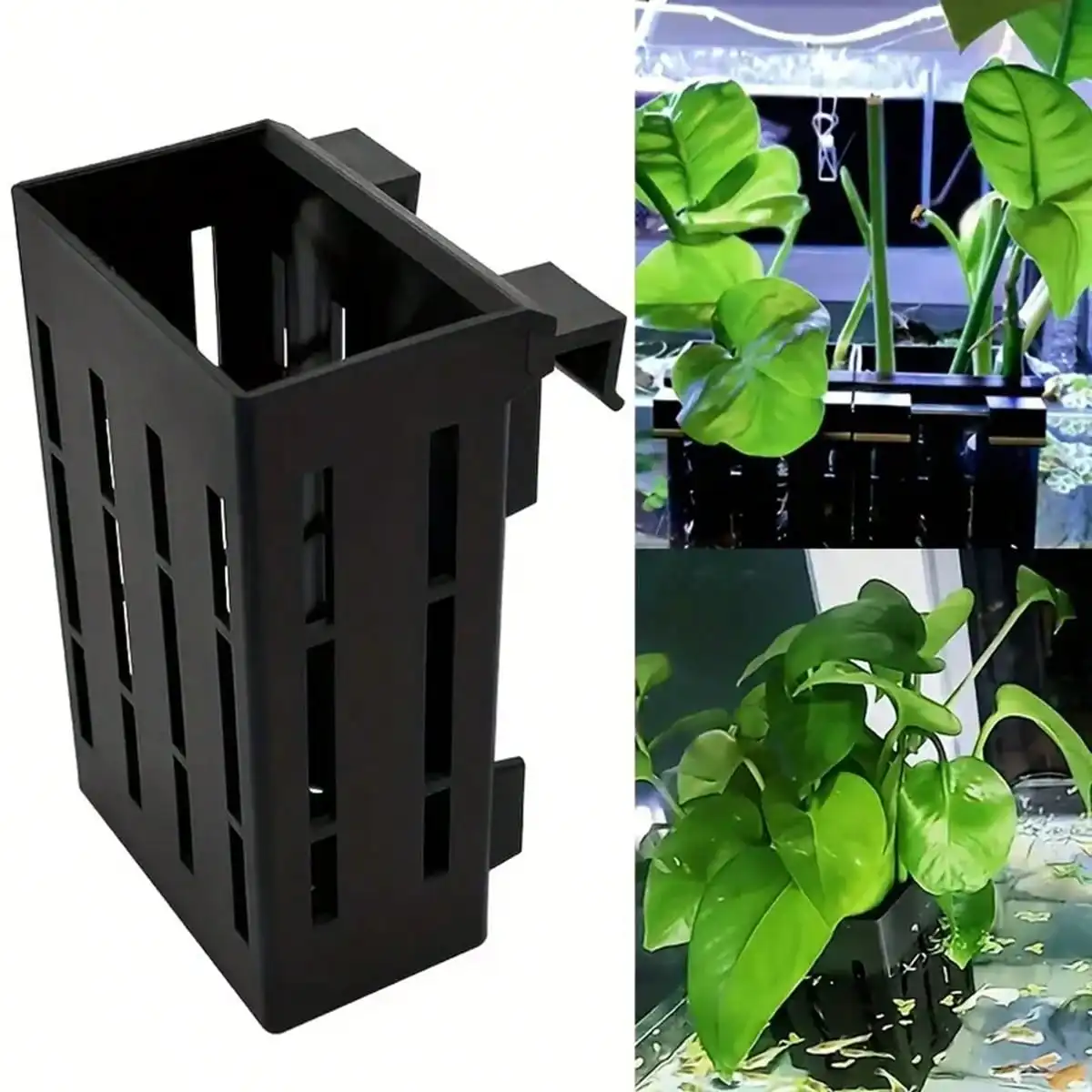 suporte para plantas de aquário com clipe