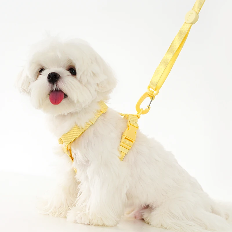 Coleira Ajustável para Cães Pequenos Cor Macarone com Detalhes Refletivos - Image 3