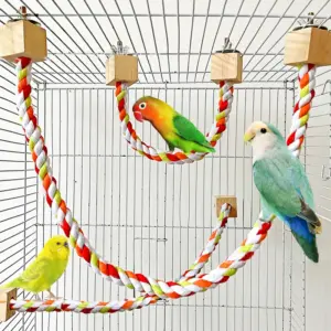 brinquedo de corda para pássaros