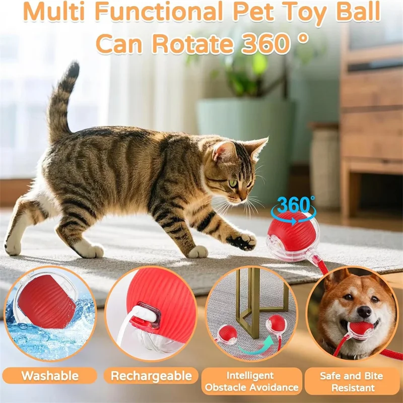 Brinquedo Interativo Cães e Gatos Bola Elétrica Recarregável USB - Imagem 2
