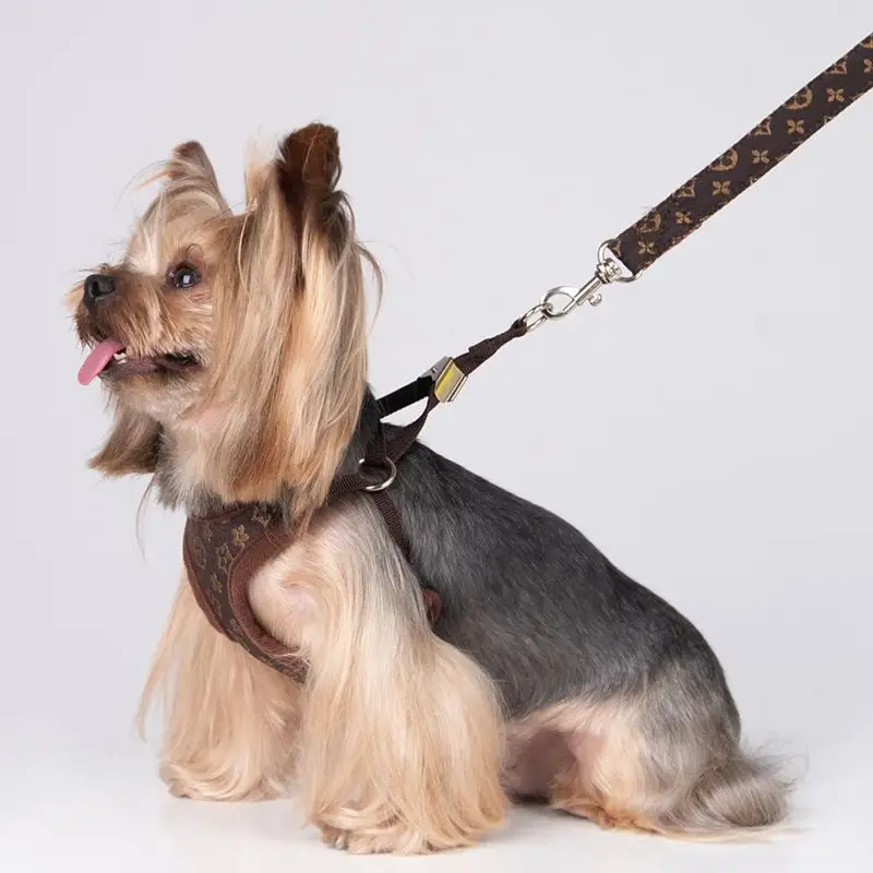 Conjunto Coleira e Guia para Cães Pequenos Malha Respirável Rosa - Image 5
