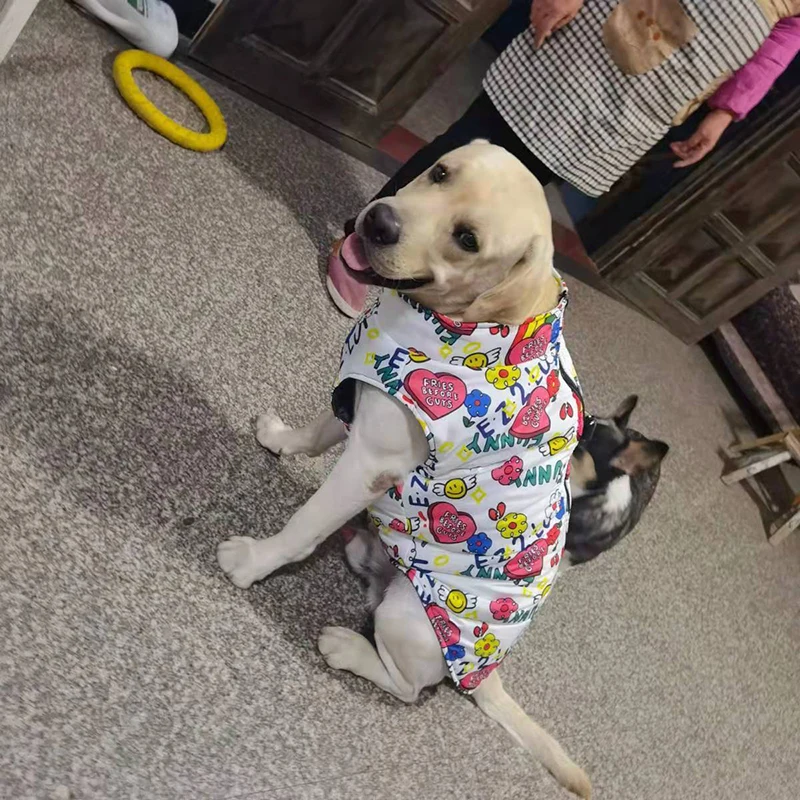 Jaqueta Impermeável para Cães Grandes com Fivela de Tração - Imagem 5