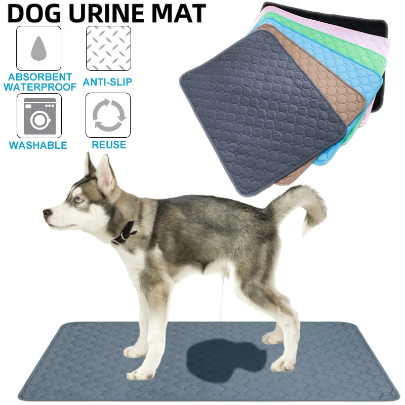 tapete absorvente reutilizável para cães