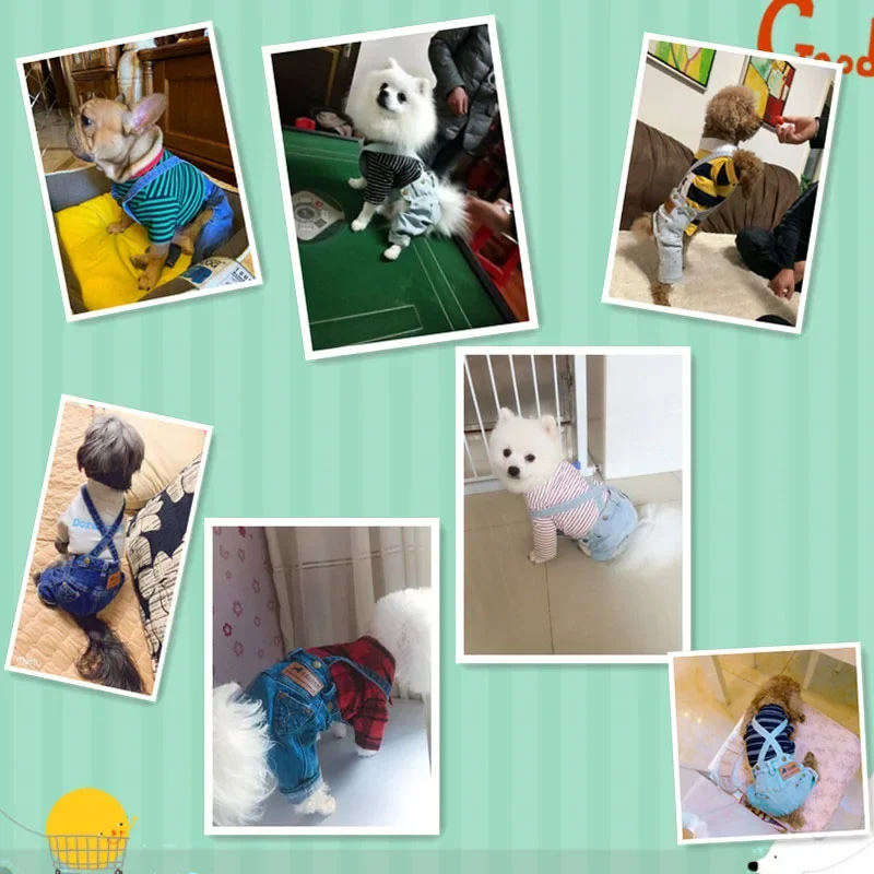 Roupa Jeans para Cães Pequenos e Médios Macacão Puppy Estilo Denim - Imagem 2