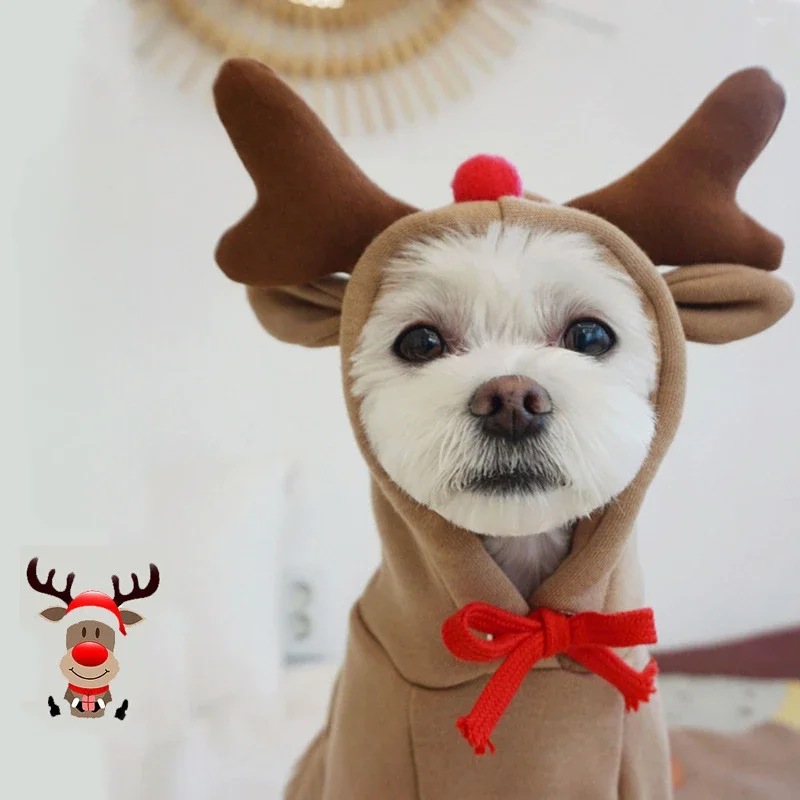 Moletom para Cães de Poliéster com Capuz para Inverno - Imagem 2