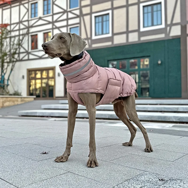 Casaco de Inverno para Cães e Gatos Impermeável de Lã - Image 6