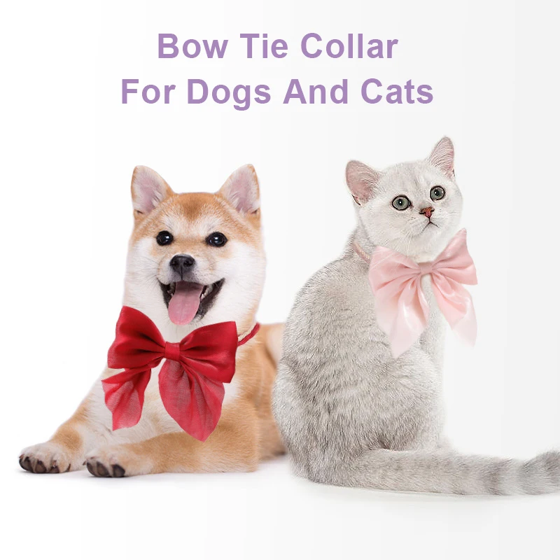 Coleira para Gatos e Cães Pequenos com Gravata Borboleta Ajustável - Imagem 3