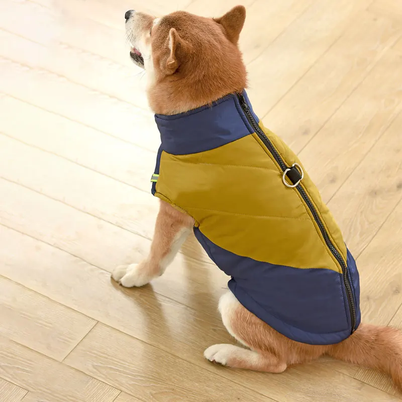 Jaqueta para Cães Impermeável com Zíper e Anel D-Ring - Imagem 5