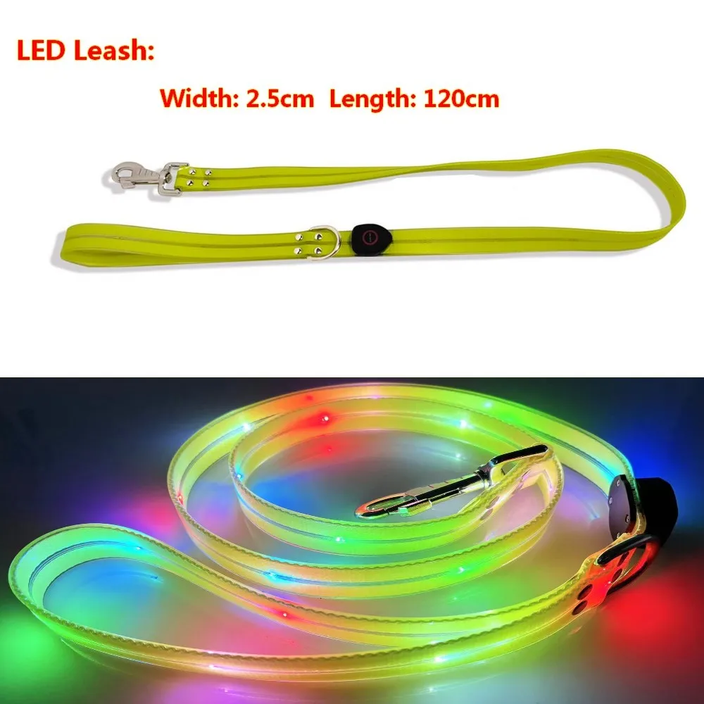 Guia LED para Cães Recarregável USB com Webbing Brilhante - Imagem 2