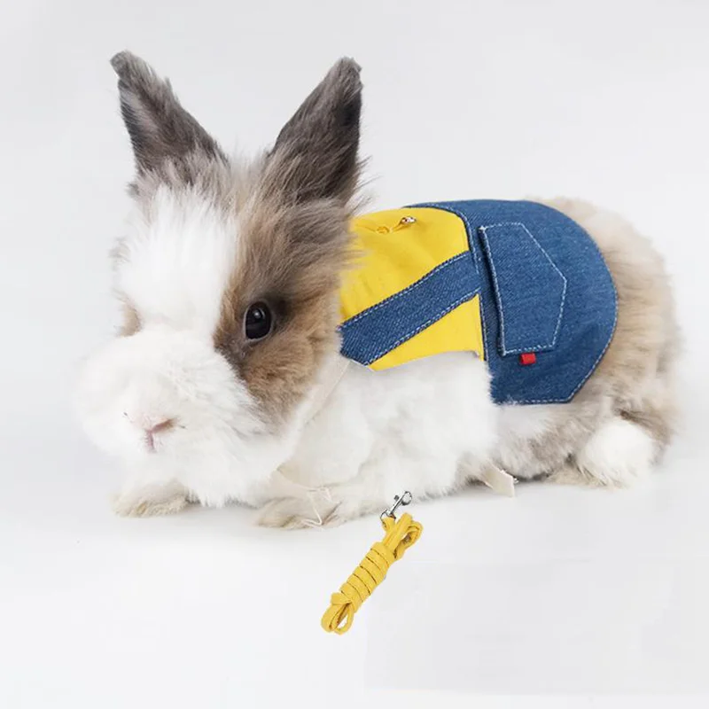Coleira e Arnês para Animais Pequenos em Jeans - Image 6
