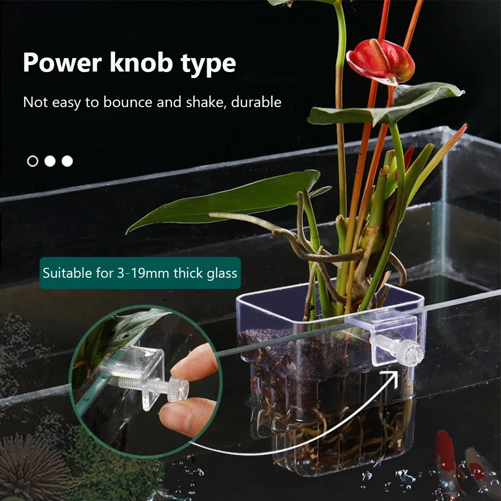 Cesta para Plantas de Aquário Transparente 8 x 8 x 5.7 cm Suspensa - Imagem 2