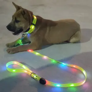guia led para cães recarregável