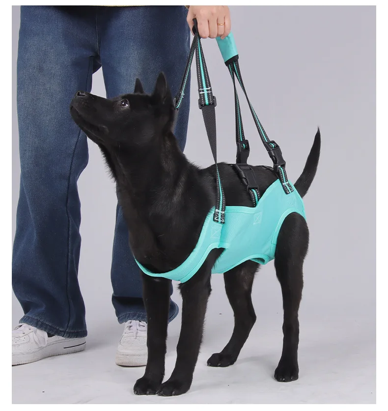 Arnês de Elevação para Cães com Suporte Ajustável - Imagem 4