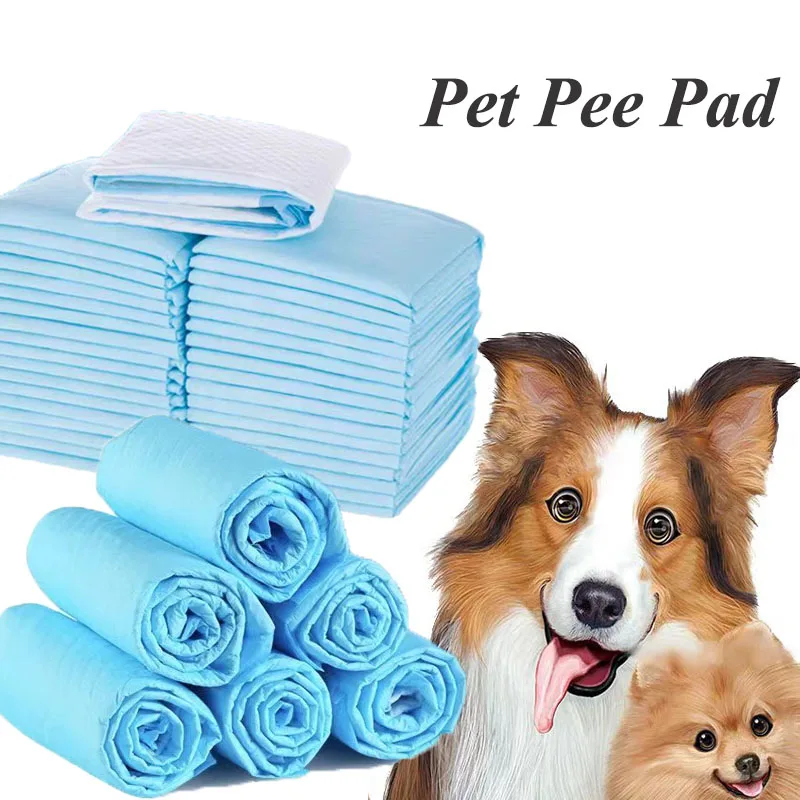 tapete higiênico descartável para cães e gatos