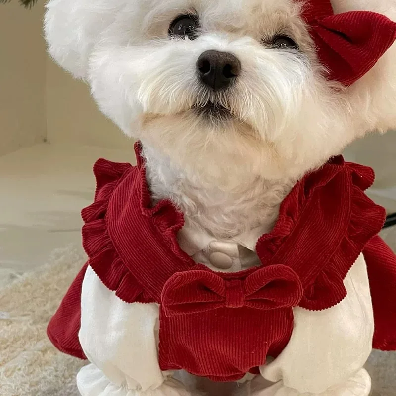 Vestido para Cães de Veludo Cotelê Vermelho para Outono Inverno - Imagem 3