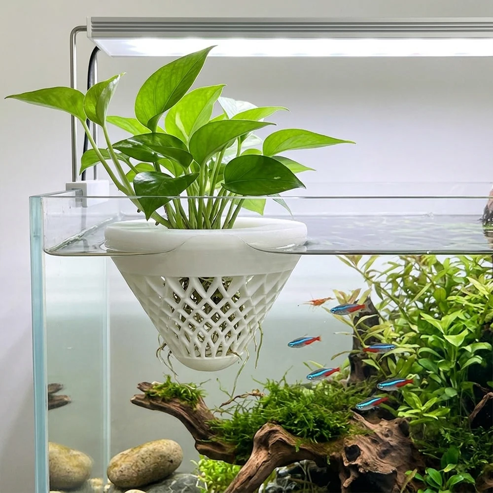 Suporte Flutuante para Plantas de Aquário com Ajuste Automático ao Nível da Água - Imagem 3