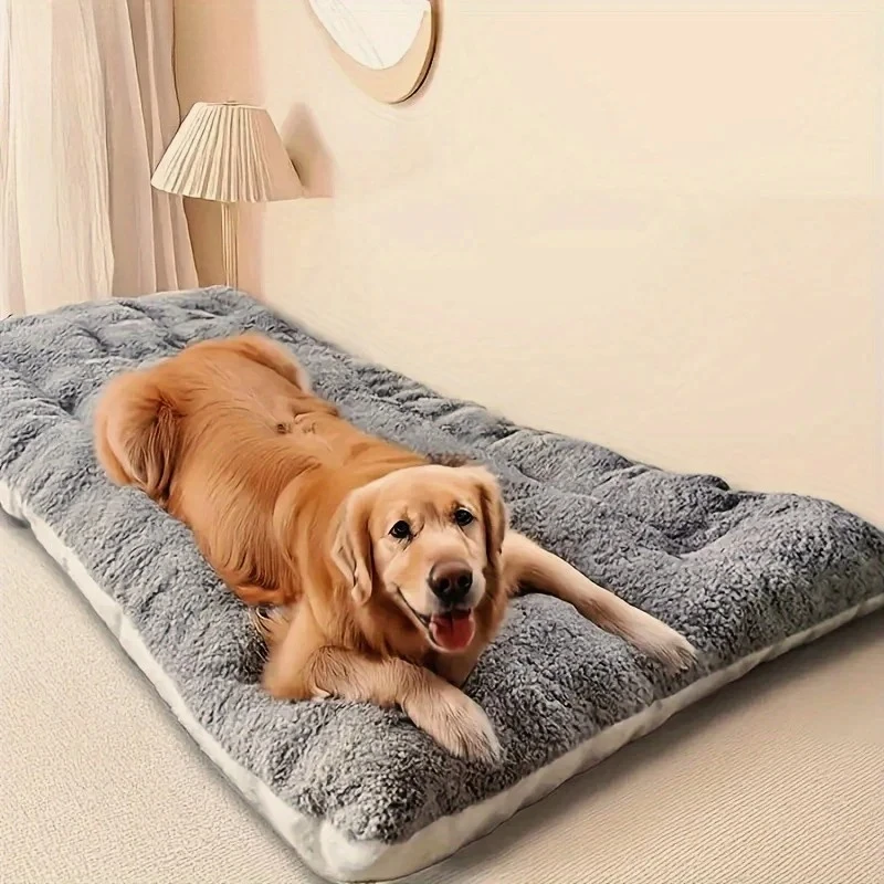 cama sofá de pelúcia para cães pequenos e médios