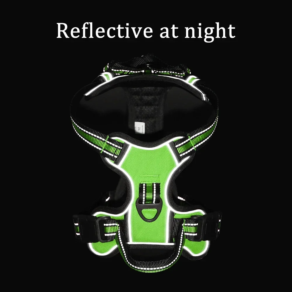 Colete para Cães Ajustável Refletivo para Passeio Noturno - Imagem 3
