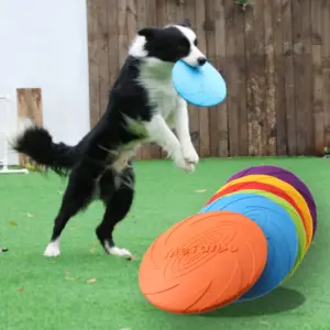 brinquedo disco para cães de borracha