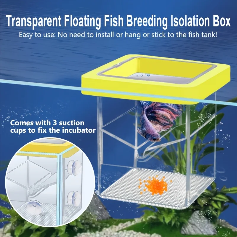 Caixa de Isolamento para Peixes Flutuante Transparente com Alimentador - Imagem 6