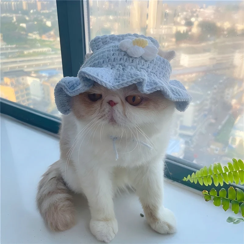 Chapéu de Malha para Gatos e Cães Pequenos para Fotos e Festas - Imagem 6