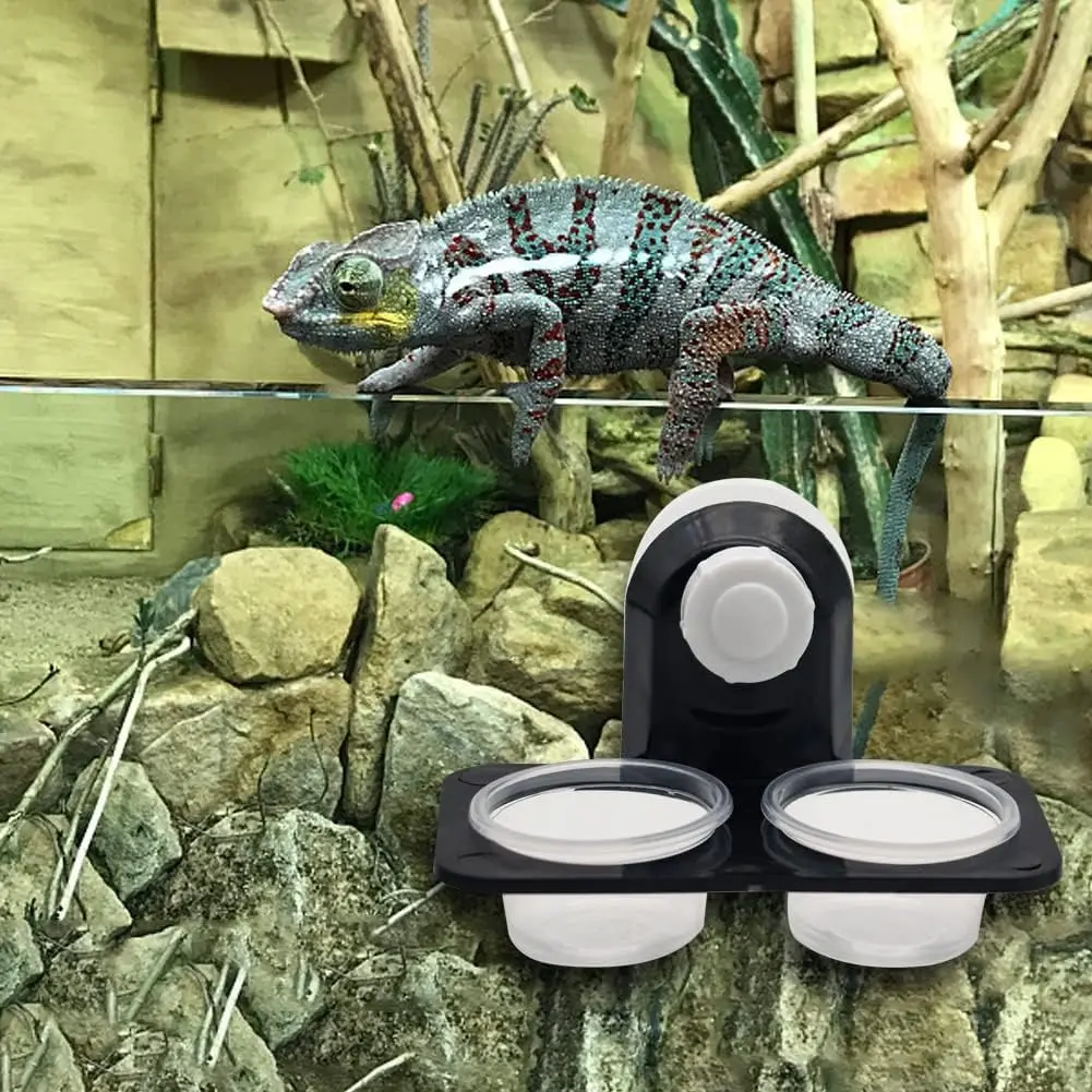 Comedouro para Répteis com Ventosa Destacável para Terrário - Imagem 5