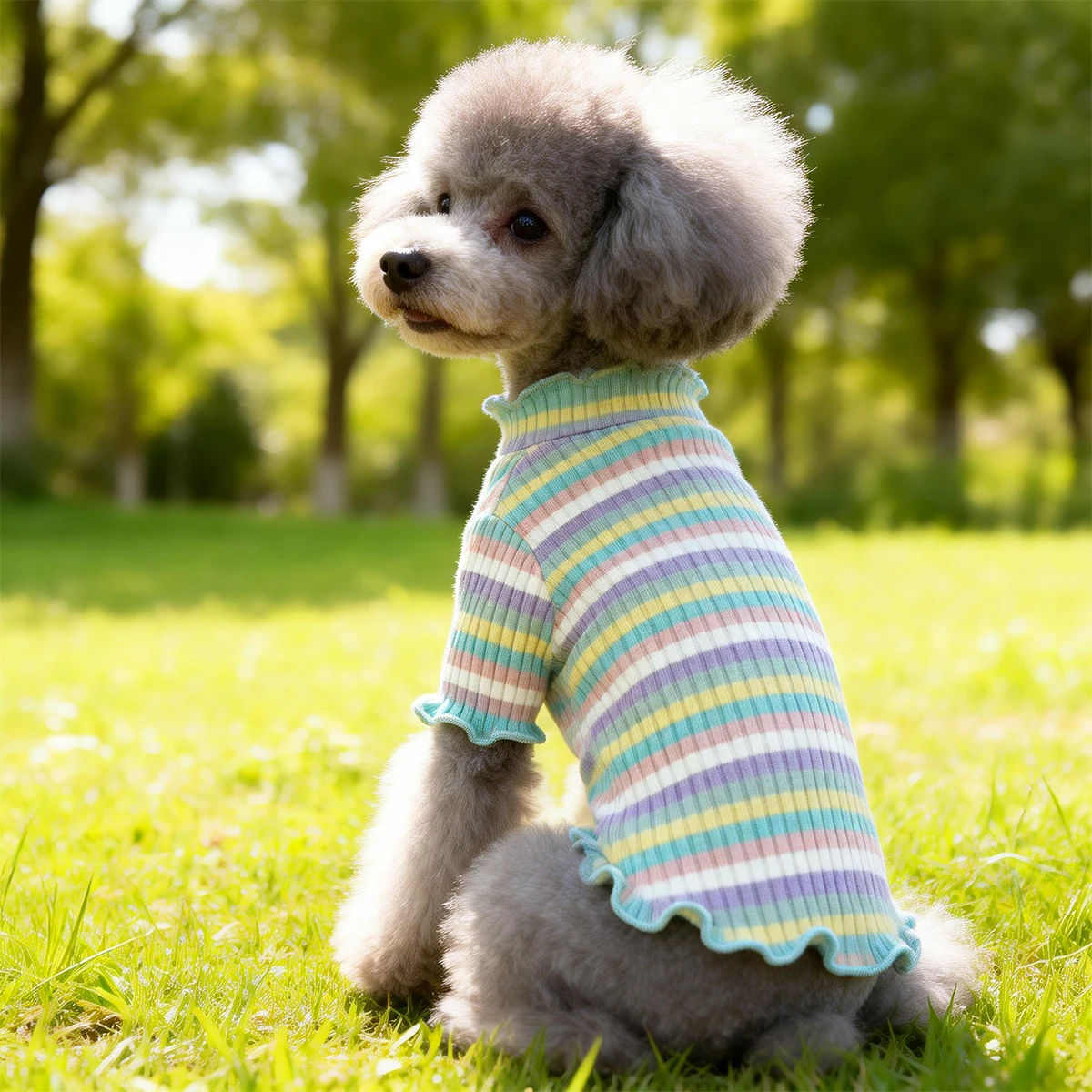 Roupa para Cães Camiseta com Medidas de Peito e Comprimento - Imagem 6