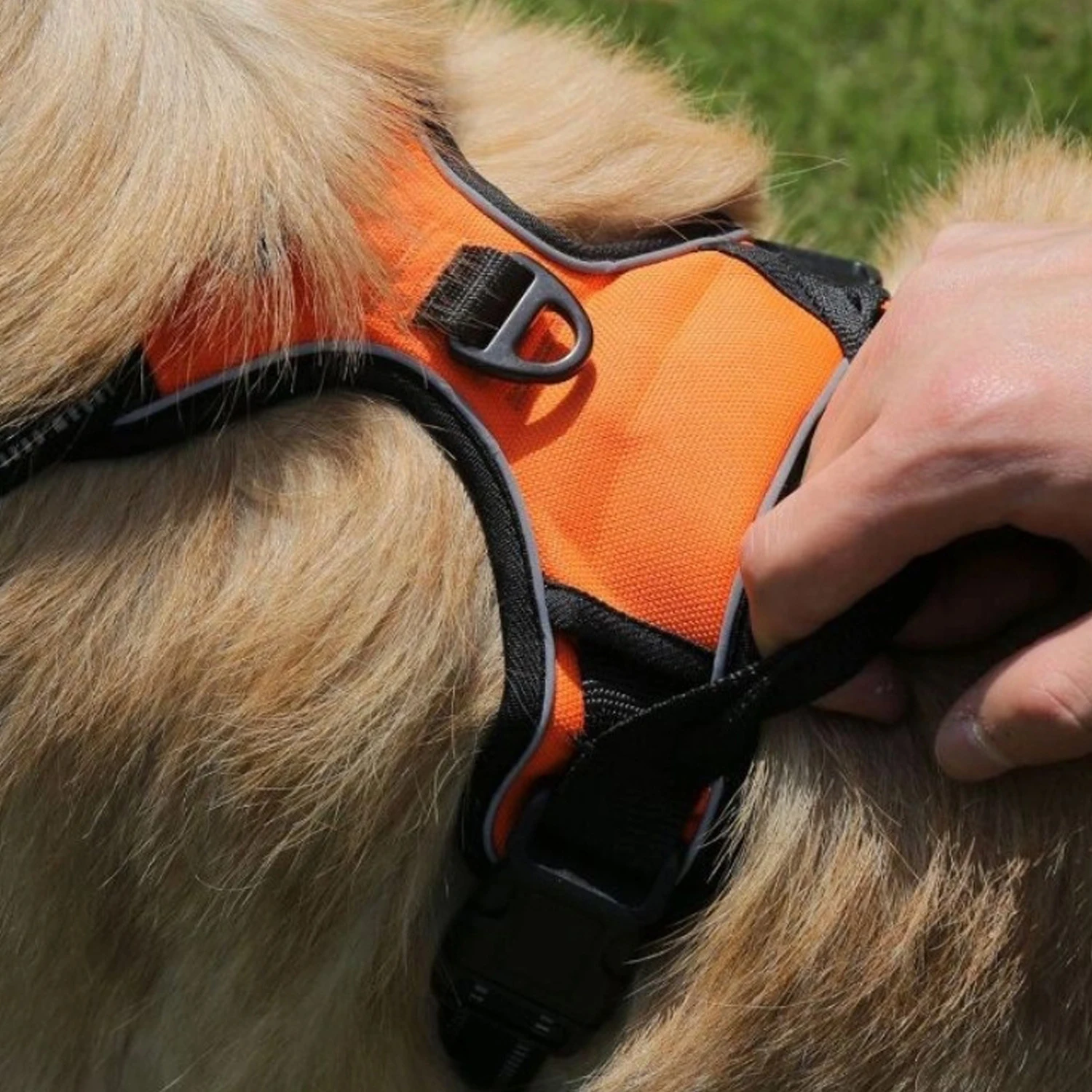 Coleira Peitoral para Cães Ajustável com Alças e Faixa Refletiva - Imagem 5