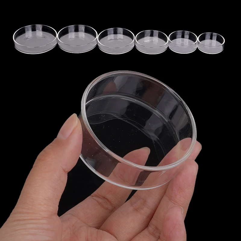 Alimentador para Aquário de Vidro Transparente Flutuante 6,0 cm - Imagem 3