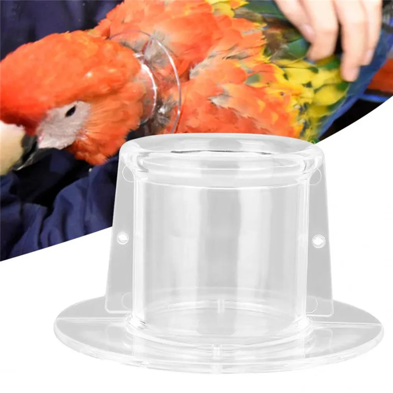 Colar Protetor para Pássaros Plástico com 10 cm de Diâmetro - Imagem 2