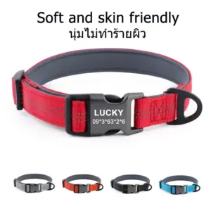 coleira ajustável para cães personalizável