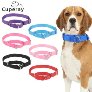 coleira martingale para cães ajustável