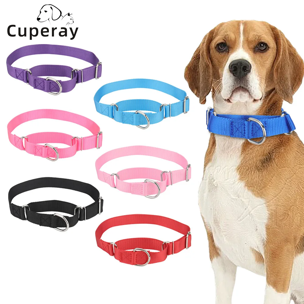 coleira martingale para cães ajustável