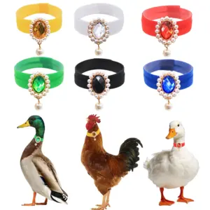 coleira anti-canto para aves ajustável