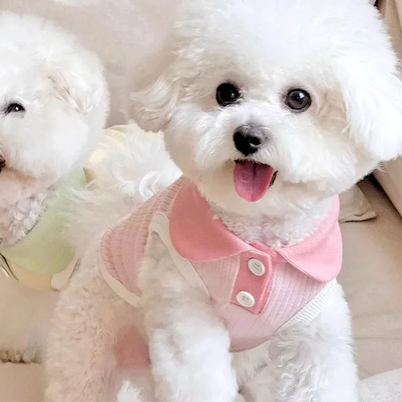 Roupa de Verão para Cães Filhotes e Pequenos Cáqui Escuro - Imagem 4