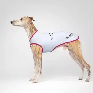 colete de algodão para cães grandes
