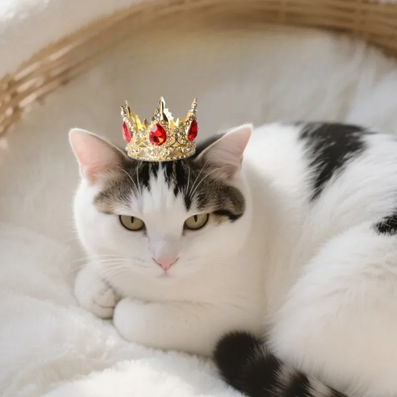 Coroa Bandana para Gatos e Cães Pequenos para Festa - Imagem 3